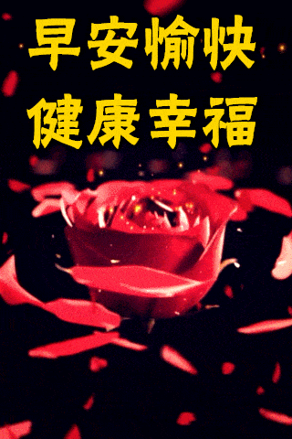 12月26日最漂亮早上好动态表情图片大全早晨好动图美图大全