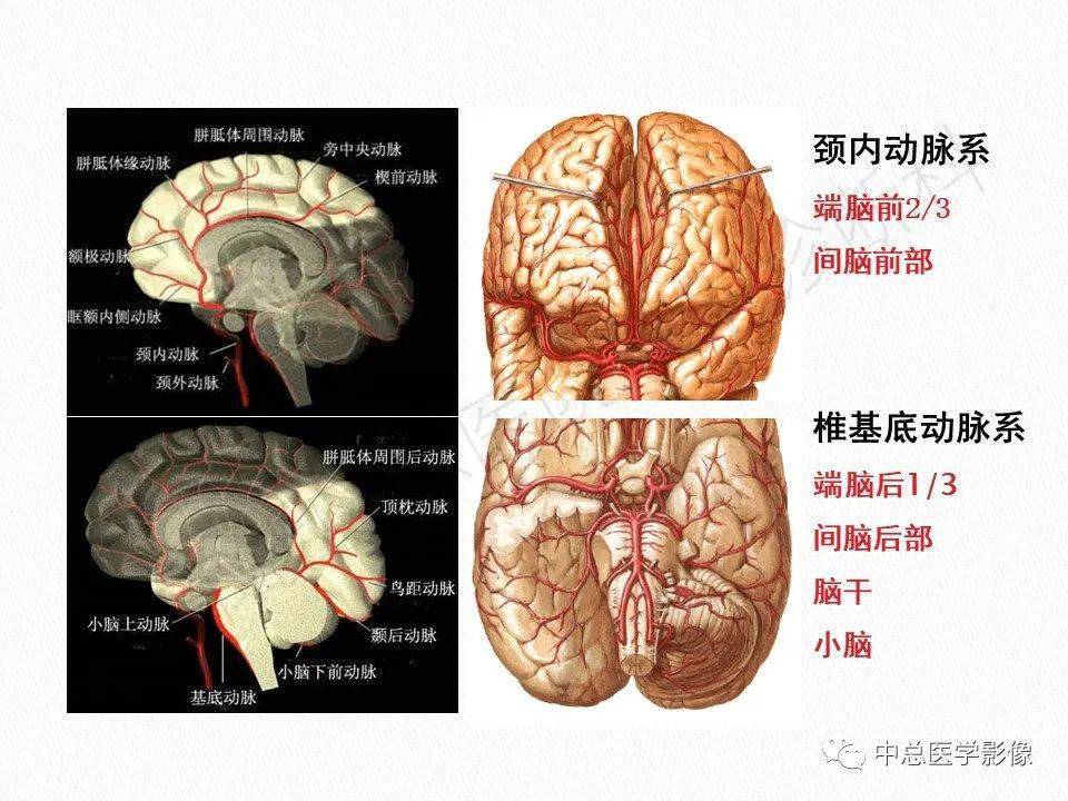 ct在缺血性脑血管病中的规范化临床应用