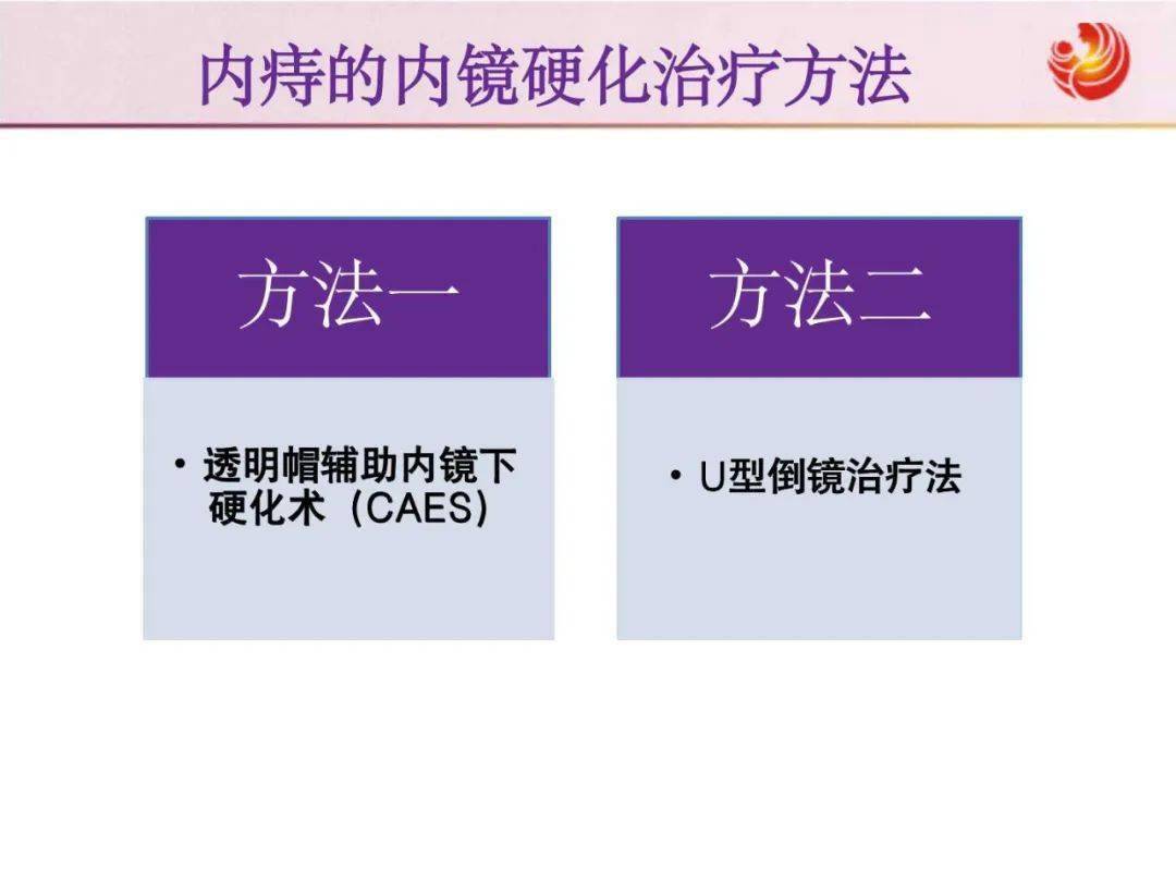 教学ppt 内痔的内镜下硬化治疗经验分享