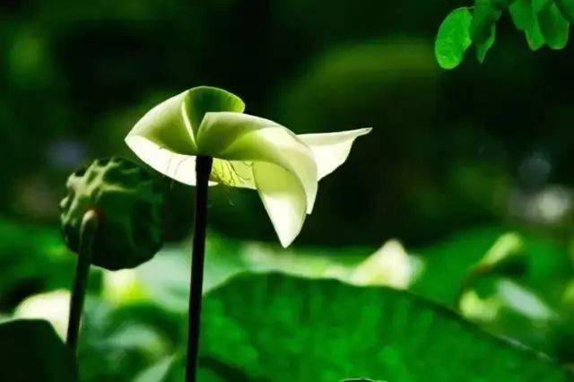 一家人在一起,无病无灾,和和气气地过日子,心中有爱,有陪伴,粗茶淡饭