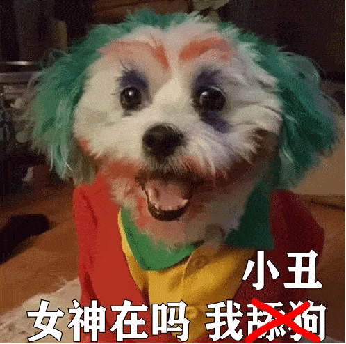 头像| 整理一些不烂大街的生日文案