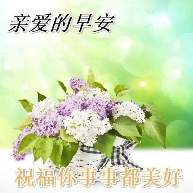 周末早上好祝福语图片带字早上好问候语动态图片表情大全