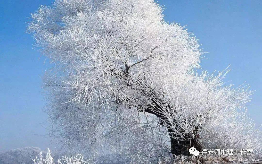 乌有之乡人口雪崩_雪崩图片(3)