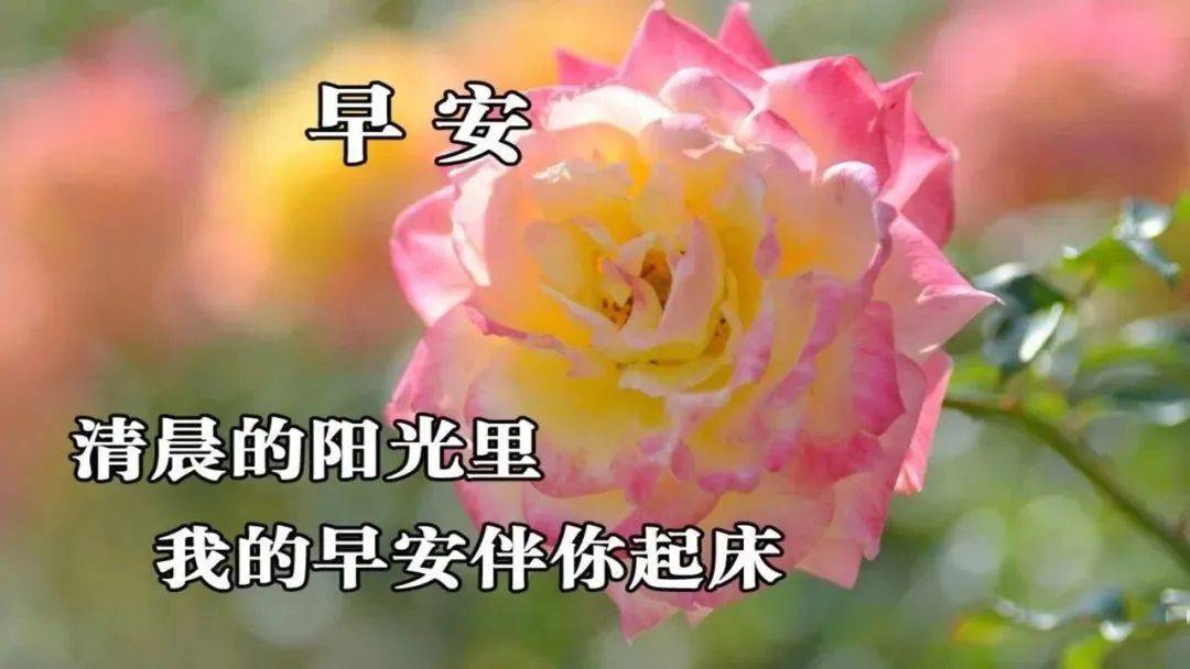 早安表情包:祝您幸福天天相伴!