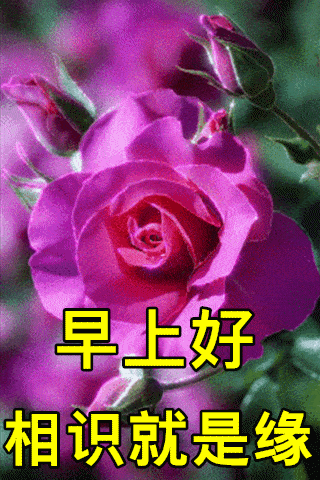 12月26日最漂亮早上好动态表情图片大全,早晨好动大全