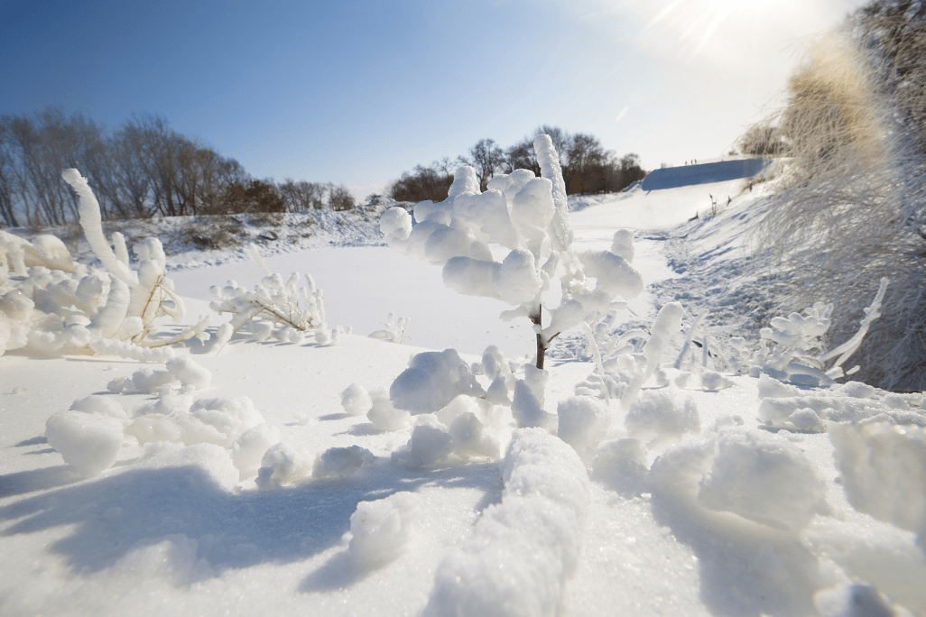 「爱了爱了」现实版的《冰雪奇缘》，昙花一现的雾凇奇景