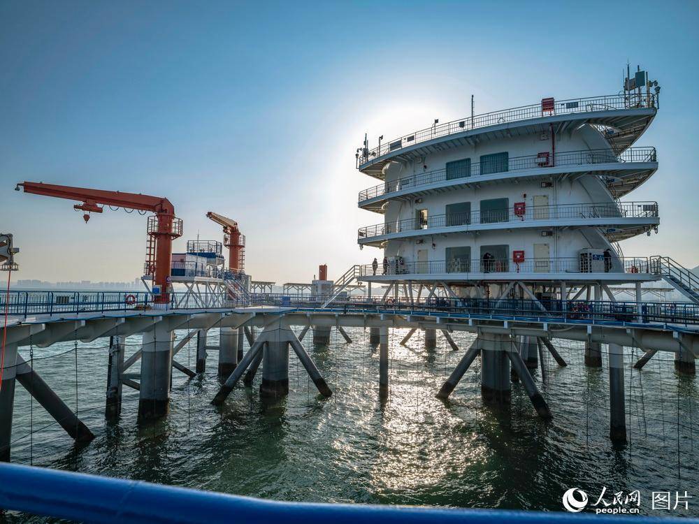 山东烟台:智能化海洋牧场