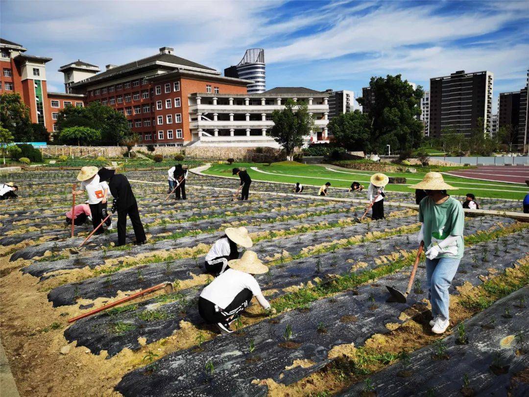 丽水新增7个省中小学劳动实践基地暨职业体验基地