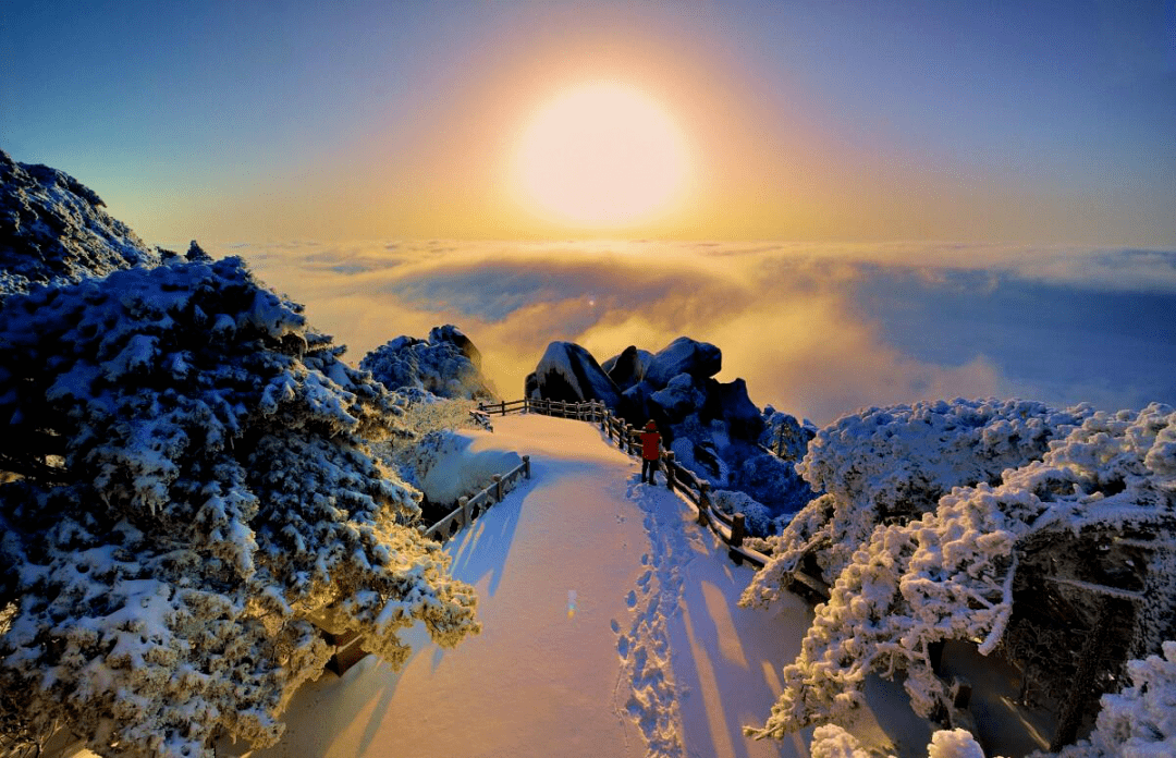 雪季天柱山玉树琼花冰镶玉