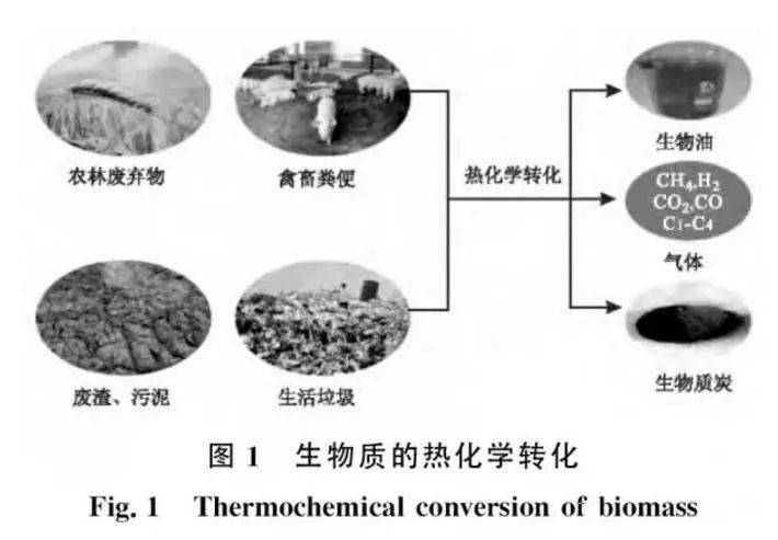 生物质转化利用途径主要有3类,即生物转换,物理转化和化学转化,比如