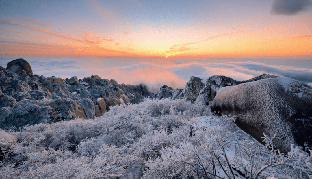 雪季天柱山玉树琼花冰镶玉