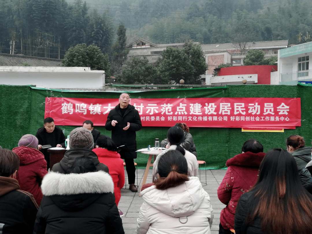 鹤鸣镇大坪村社区发展治理示范社区建设推进会