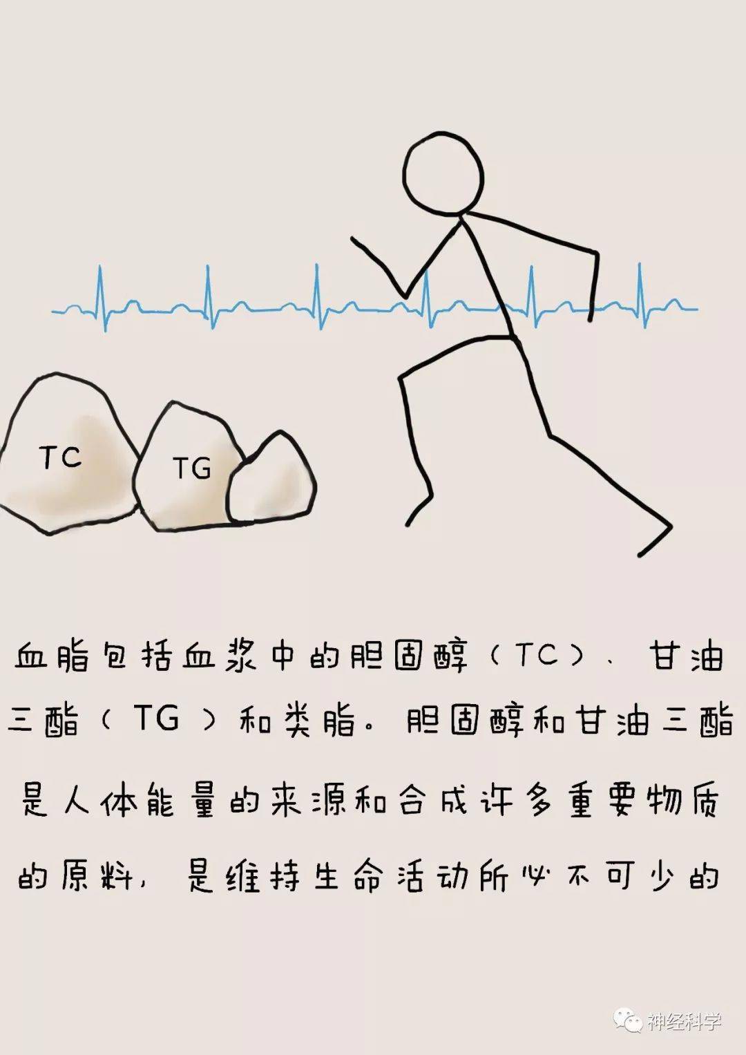 3d0fa815585f4b31a1293734af8c574e.jpeg
