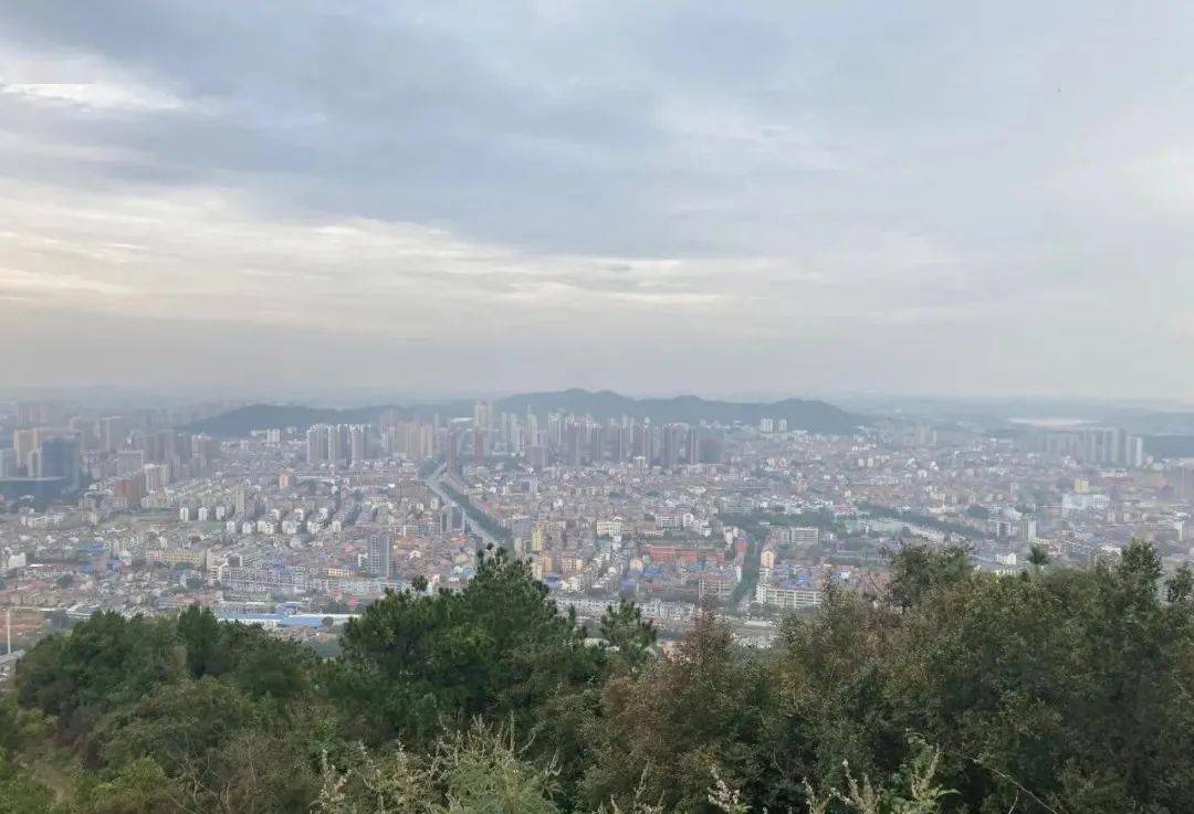 2020年江夏区政府工作报告！提到了这些好消息...搜狐大视野搜狐新闻