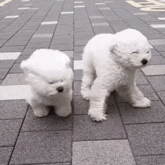 听说狗子在大风的吹拂下 每分钟变换60个发型 大风车,吱呀吱扭扭滴转