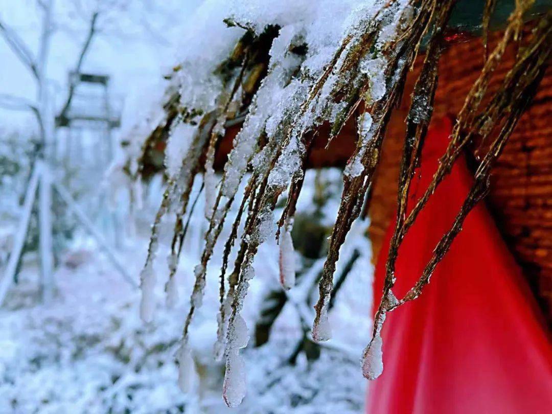 庐江冬季最美雪景作品展示