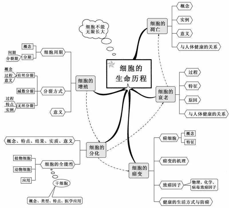 超全整理!20张生物思维导图最全版本