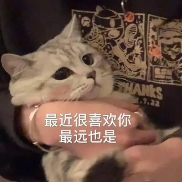 可爱小表情 适合发给喜欢的人