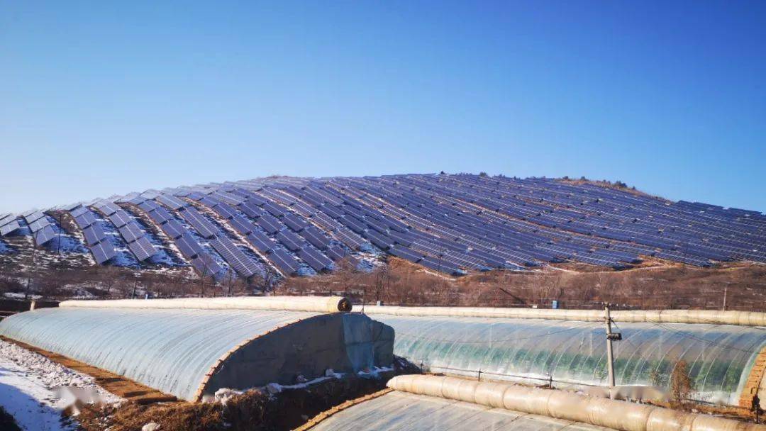 长春榆树2020gdp_长春榆树尹雪峰(2)