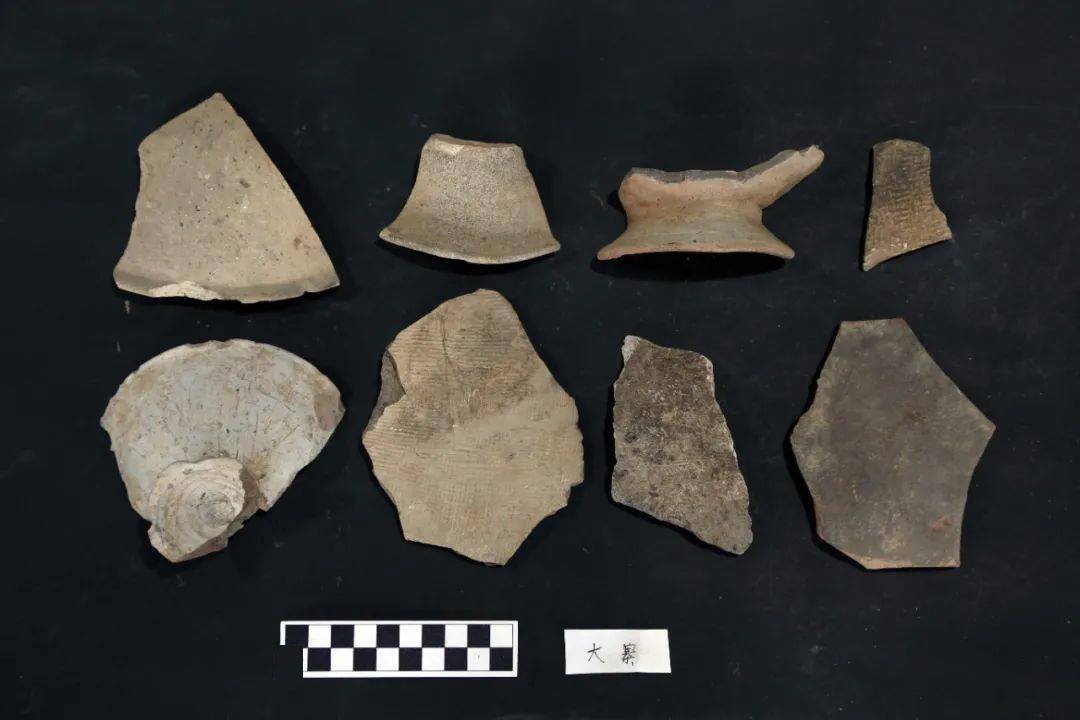 河姆渡文化核心区考古调查取得重大收获