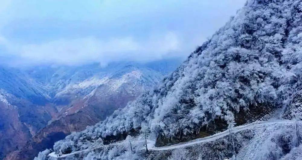 1783元旦玩雪季1月1日3日熊猫坪双桥沟看雾凇打雪仗尽情埋没在雪山