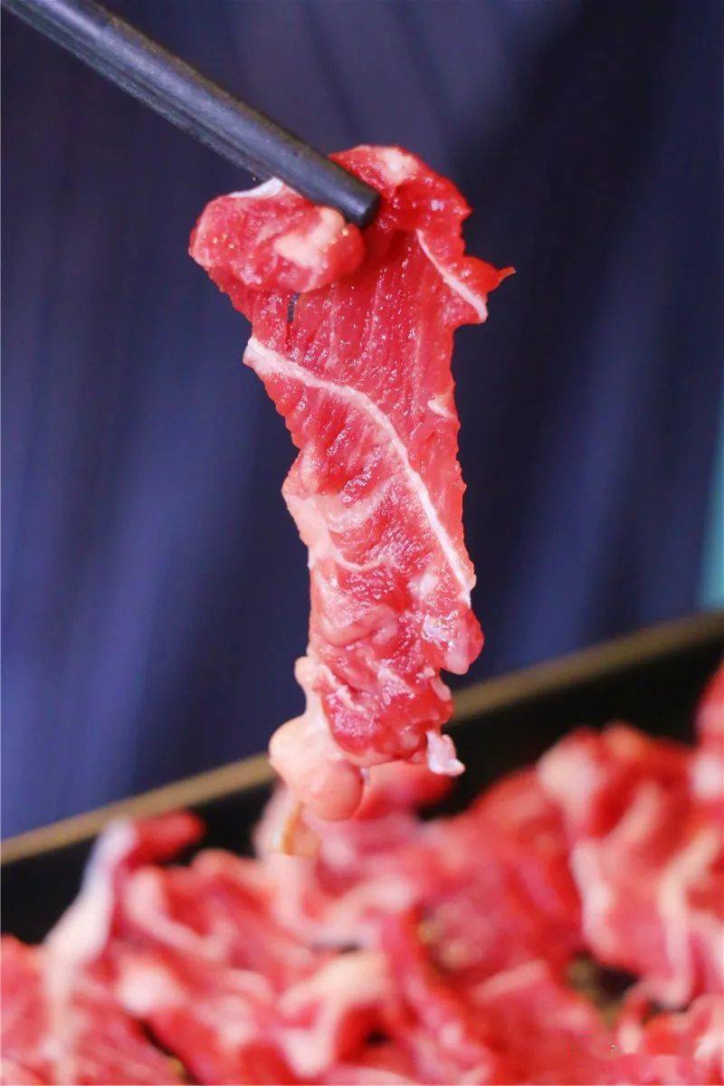 沙茶酱和芹菜蘸上酱汁再食用,牛肉风味更迷人是许多食肉兽的最爱有