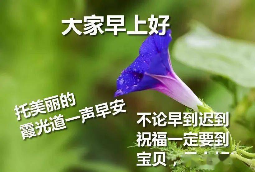 半岛体育中老年表情包：开心每一秒幸福每一年！(图3)