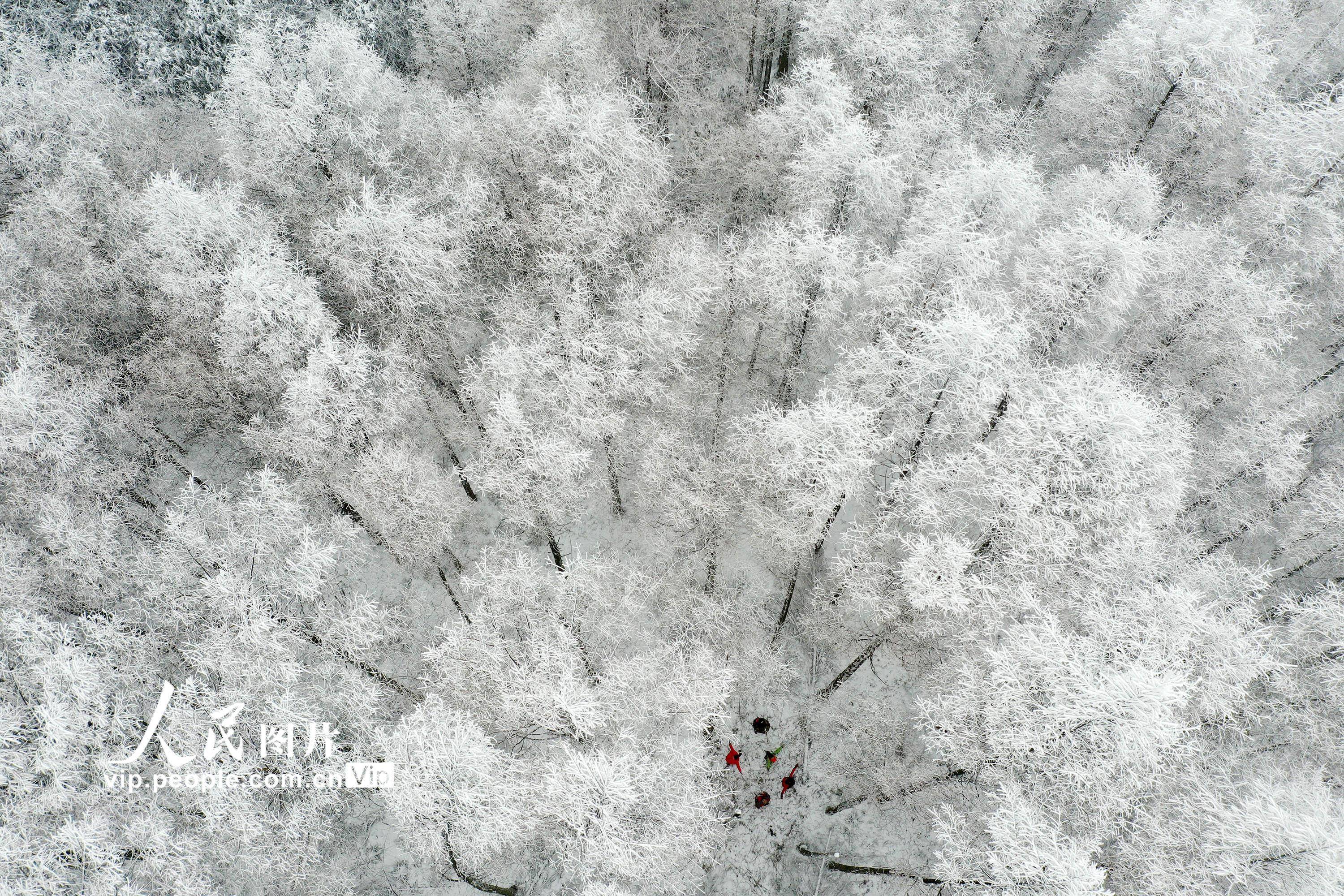 重庆黔江高山地区普降大雪
