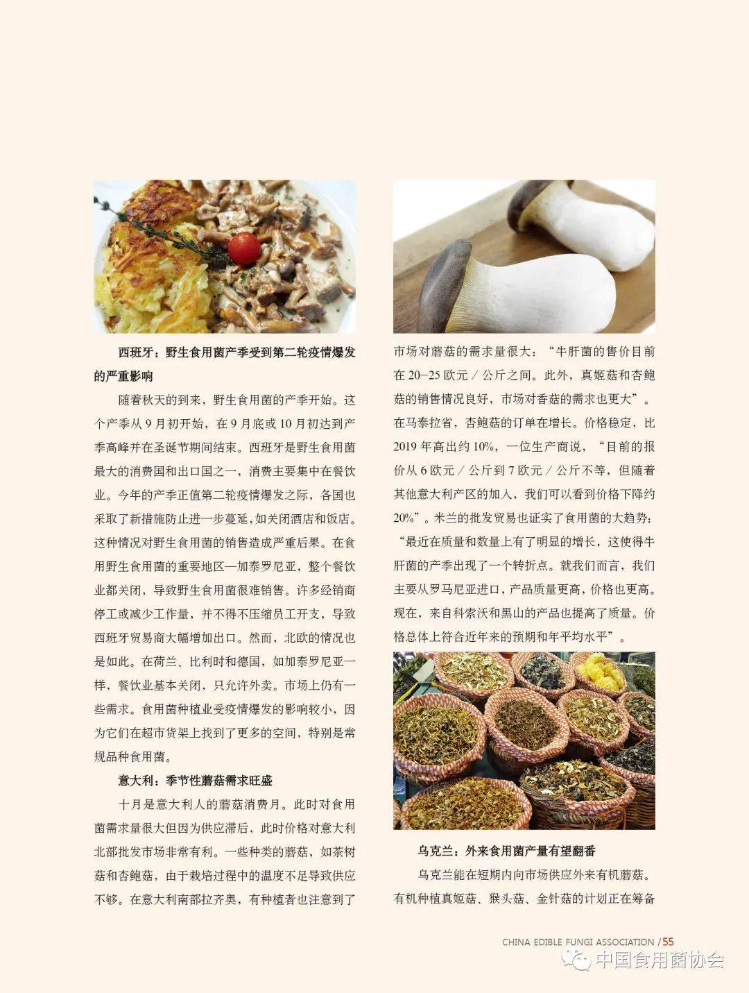 食用菌招聘_食用菌信息月刊 2021年3月第3期总第429期(2)