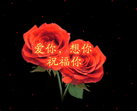 感谢你陪我走过的每个日子,愿你健康好运幸福一整年!