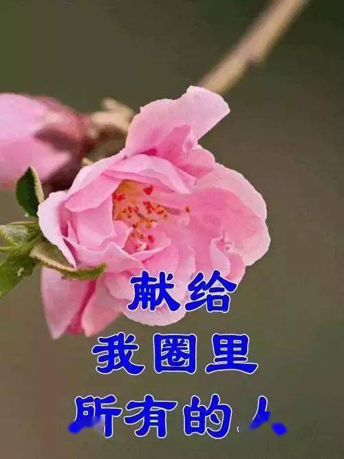 3ca67871cfac4a849a1550087ed8233a.jpeg