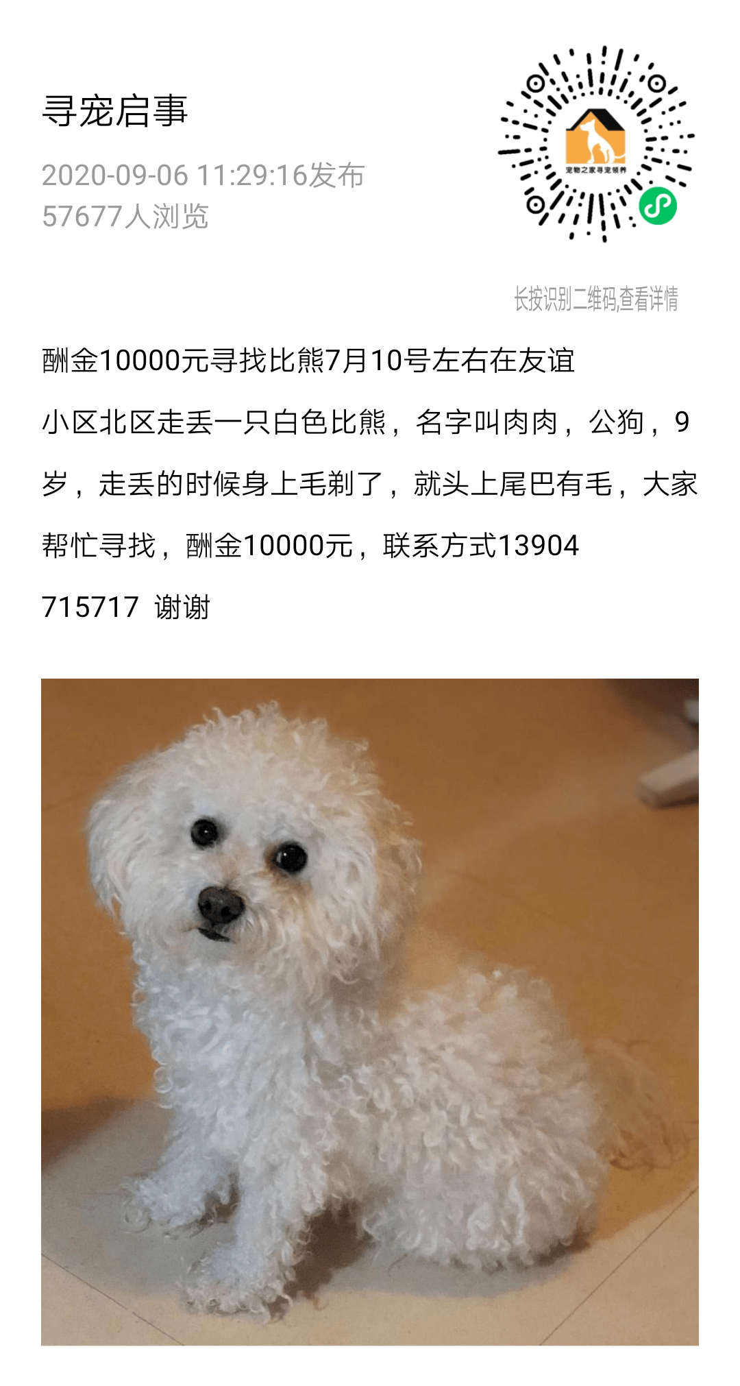 柯基与泰迪能配吗 7b3b8143b0f44c6f83c8380af6116be0.png