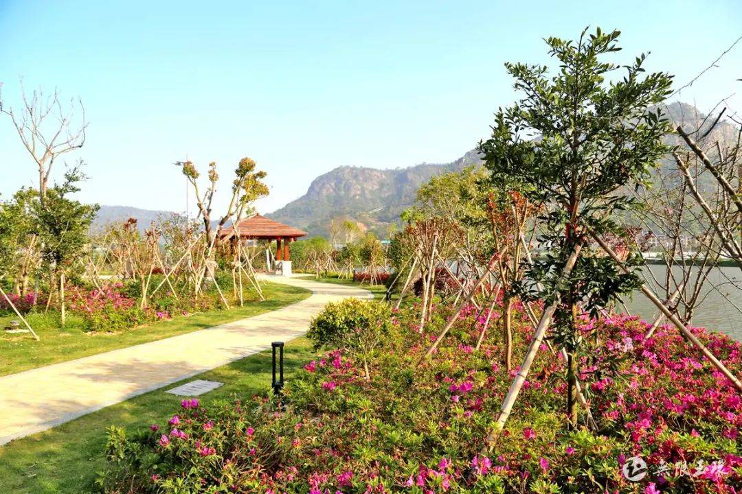 玉环市文旦风情风景线