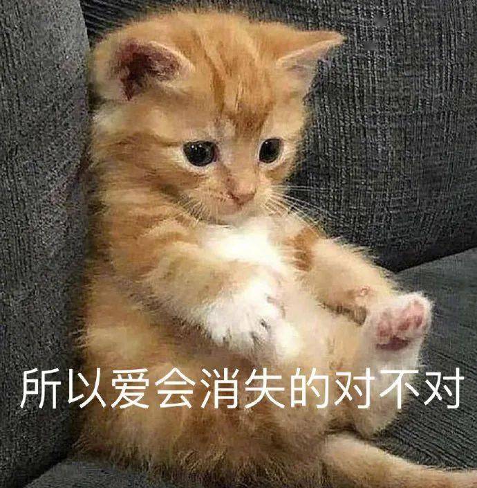 可爱动物表情包