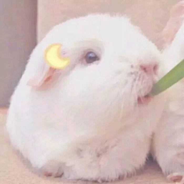 动漫情头_低头