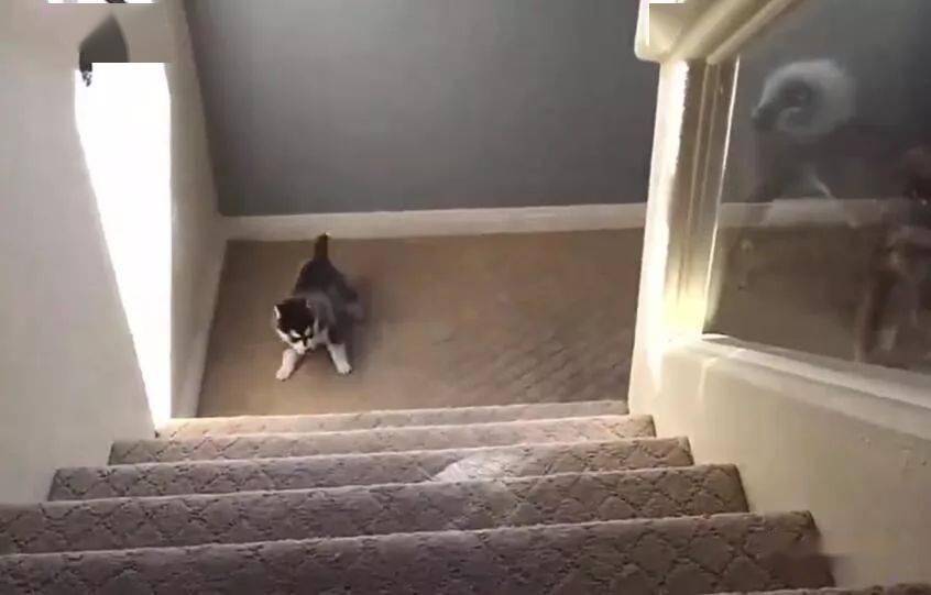 怎么样上楼梯不累 4433525e630d4aeb81cbb8fc9ff3413f.jpeg