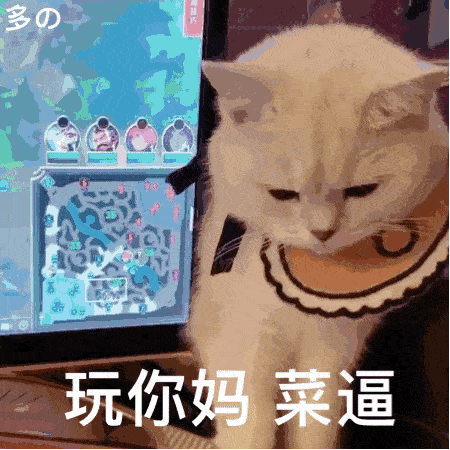 【猫猫表情包】沙雕猫动图表情包