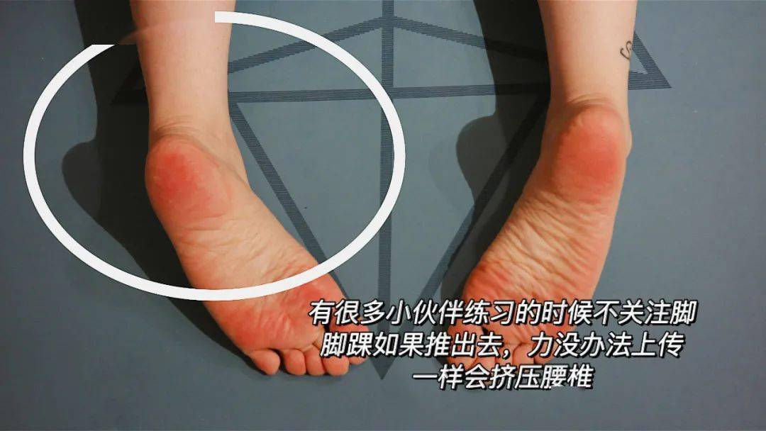 蛇身体构造图 fe7e2947b8684e16916dd4f48cc967bd.jpeg