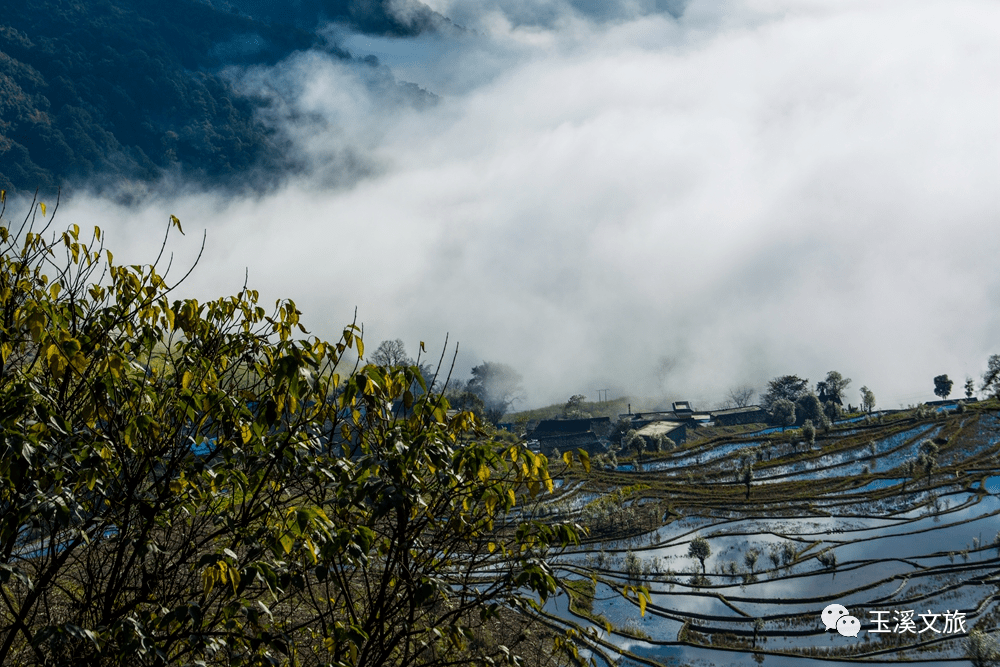 澄江的GDP_澄江欢乐大世界游乐园