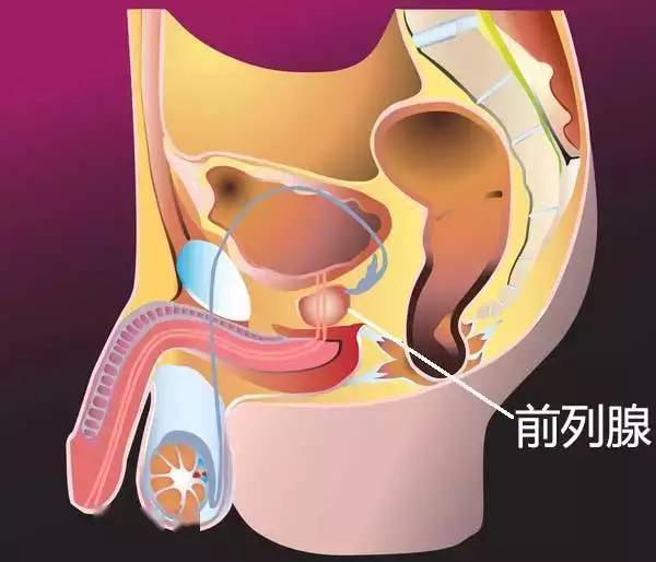 男怕前列腺有事,女怕这地方松弛!