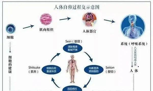 怎么养好胃溃疡 2c4bb939298a416d8175545d77b7cd30.jpeg