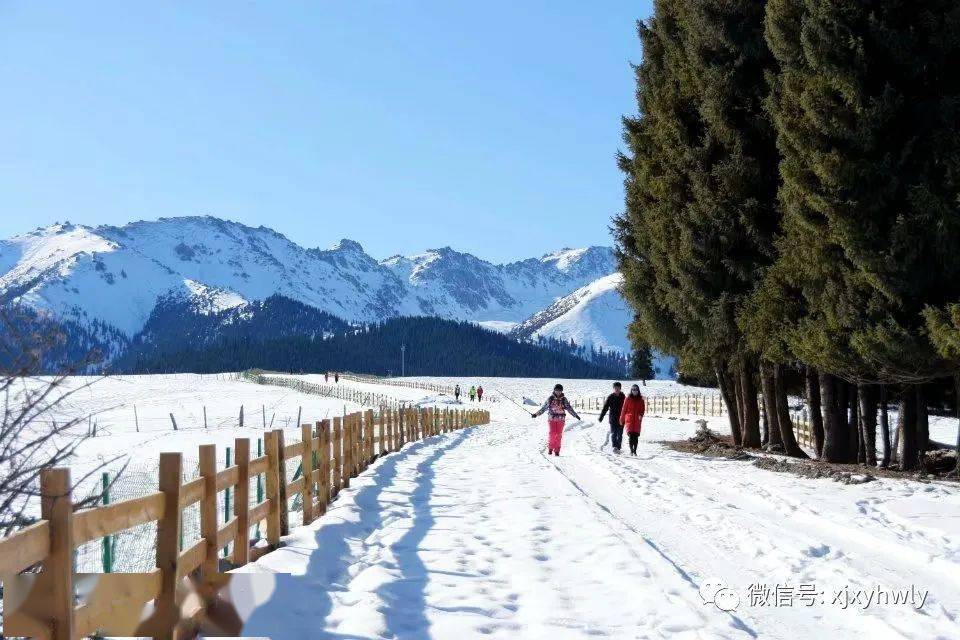 费用aa1月9日南山苜蓿台子赏雪景洗肺排毒休闲徒步一日游