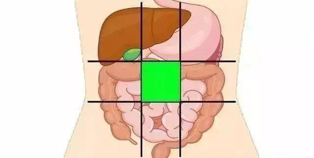 左右腹部的位置是肾脏,而肾脏是产生尿液的地方,能够清除我们体内