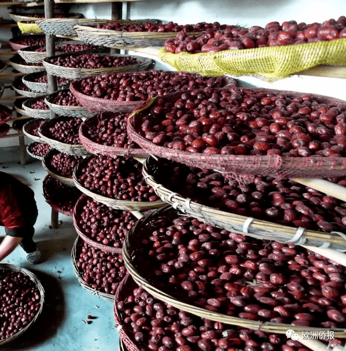 补肾果价格多少钱一斤 88a93e104db54b05a157d7726127de88.png