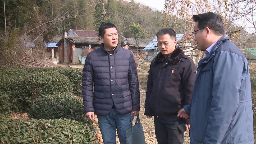 履职路上丨区政协委员陈朝峰:乡村振兴献计者,网络民意搭桥人