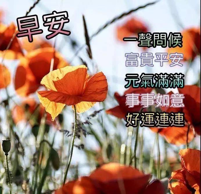 2021新版早上好祝福问候语动画动图,早安问候祝福语短信