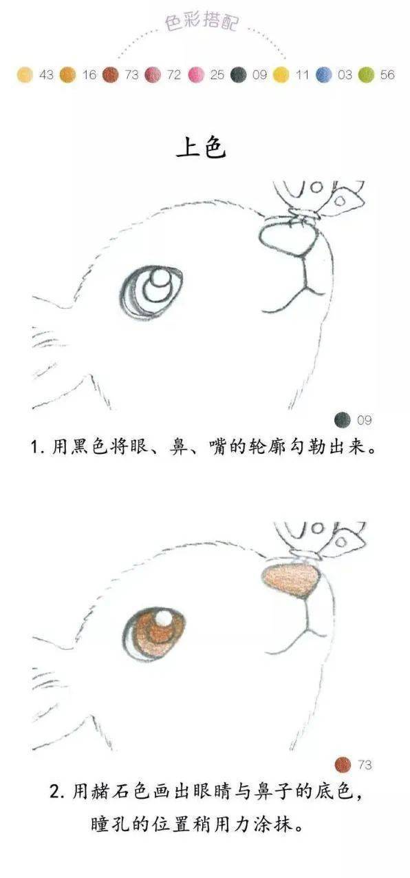 0b0f01ba9a91441e9aa668b2a1cd29cc.jpeg