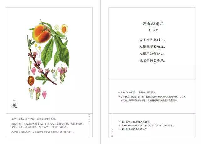 小荷才露尖尖角猜一成语_小荷才露尖尖角图片(3)