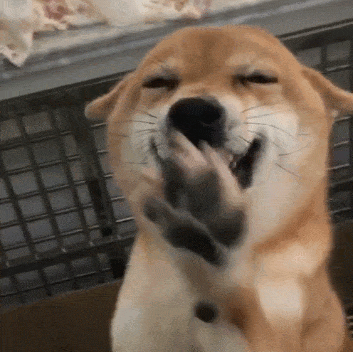 496_495gif 动态图 动图