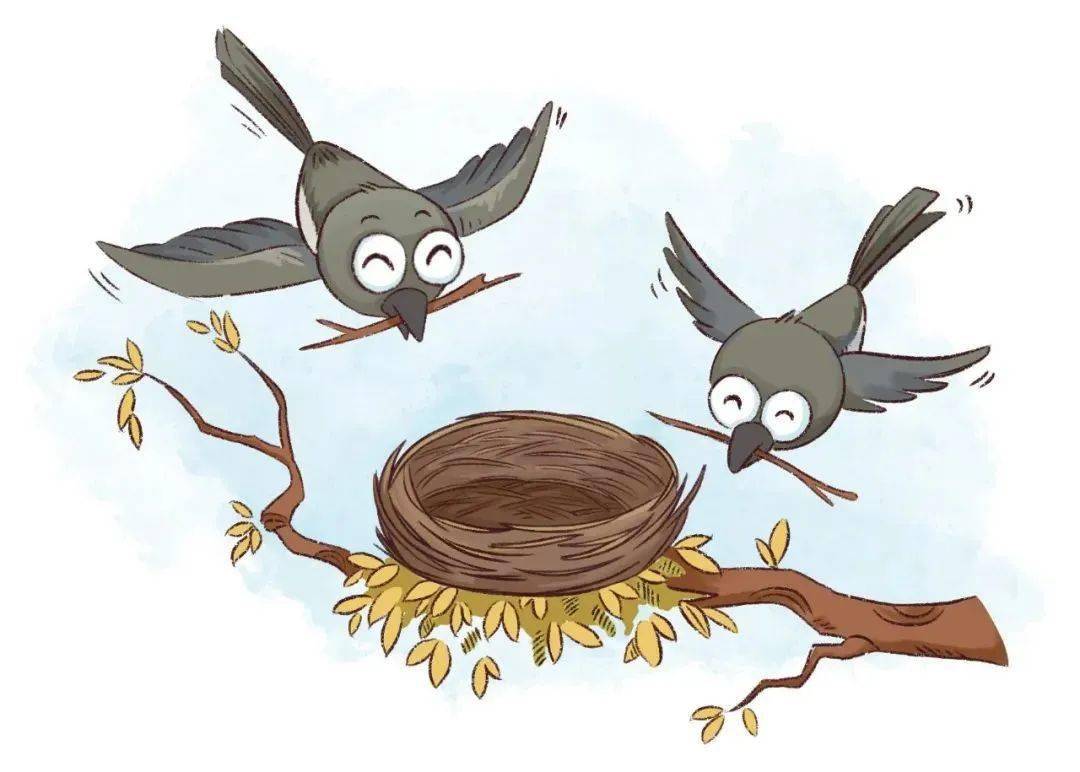 筑巢高手喜鹊也开始  收集材料准备  筑巢搭窝 以便开春之后  繁衍